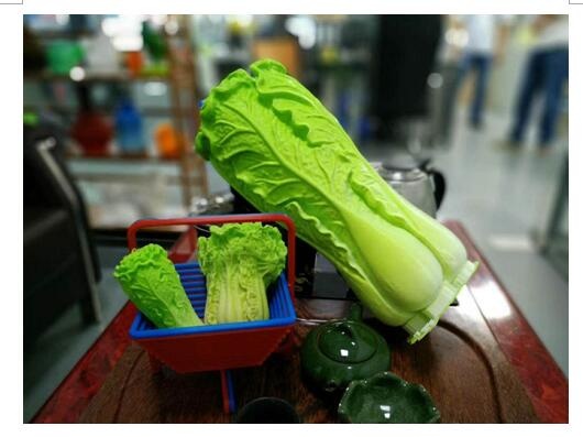 各種各樣大白菜3d打印模型